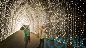 Festive garden events to get you into the Christmas spirit