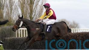 ‘It’s a very special day’ – 100-1 winner for Tracey Leeson at Southwell