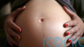 Pregnancy may cause brain changes linked to maternal behaviour – study