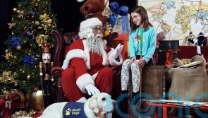 Guide Dog charity to host Christmas grotto for visually impaired children