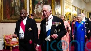 King pays tribute to late Queen and her ties with South Africa at state banquet