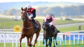 Hanlon has National ambition with new recruit Cape Gentleman