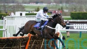 Constitution Hill will run in the Fighting Fifth, says Henderson