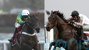 Constitution Hill and Epatante poised for mouthwatering Newcastle clash