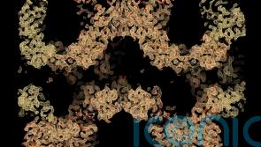 New discovery could lead to new drugs for bowel cancer, study suggests