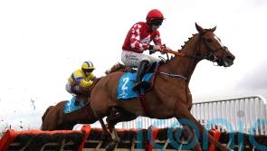 Pied Piper will miss Constitution Hill and Epatante showdown