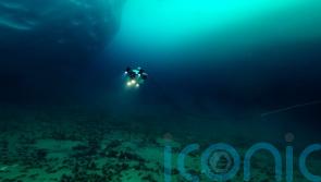 Scientists discover new kind of seaweed 100m below surface in Antarctica