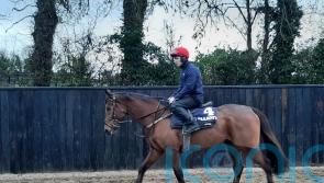 Galvin to spearhead Gordon Elliott’s Christmas team