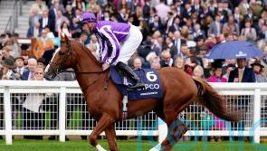 Hanlon eyeing summer campaign with Wordsworth