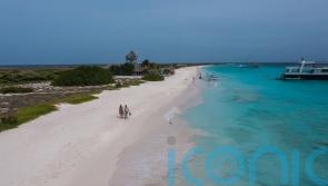 Why Dutch Caribbean Cura&ccedil;ao is the paradise island to visit right now