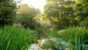 PM urged to attend global meeting to drive deal on treaty to restore nature
