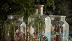 Make your own festive terrarium without spending a fortune