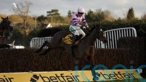 Nicholls sweet on Greaneteen’s Tingle Creek chance