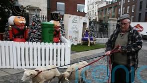 Live animal crib makes return at new location in Dublin