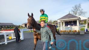 Intranet delivers on Punchestown debut