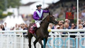 Alcohol Free to continue her career in Australia following bumper sale
