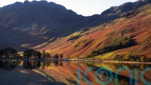 Government ‘failing to keep promises’ on restoring nature – Wildlife Trusts
