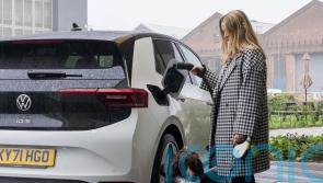 Dogs are more relaxed in EVs than diesel cars &ndash; study