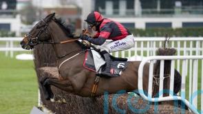 Fergal O’Brien considering his options for Paint The Dream