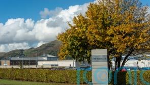 Former Celtic kitman jailed for abusing young boys dies in custody