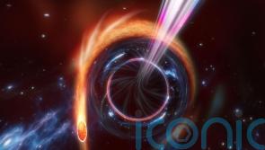 Star ‘squeezed like toothpaste tube’ by supermassive black hole in cosmic show
