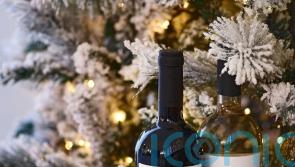 The only festive wines you’ll need this Christmas