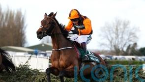 Noble Yeats faces five on Aintree return