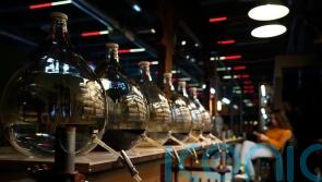 Cheers! Serbia’s plum brandy gets UN world heritage status