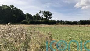 Government warned over farm funding as minister promises clarity in New Year