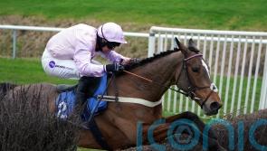 Anightinlambourn having deserved break before Festival target