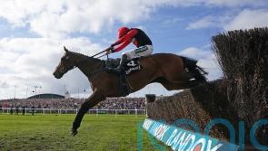 Honeyball full of hope for good Aintree run from Sam Brown