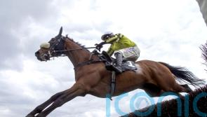 Allmankind ‘back to his old self’ ahead of Huntingdon return