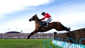 Ahoy Senor seeking return to winning ways in Many Clouds test