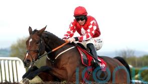 Elliott hoping to make it magnificent seven in Drinmore
