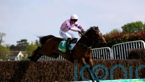 Greaneteen ready for Tingle Creek defence against Shishkin and company