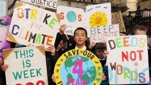 Student climate strikers mark four years of weekly protests outside Dail