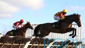 Dixon Cove keeps up perfect record since moving to Britain