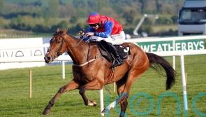 Facile Vega in cruise control on jumping bow at Fairyhouse