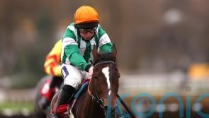 Authorised Speed overcomes last-flight scare to shine at Sandown