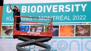 What is the UN nature conference in Montreal and what will it achieve?