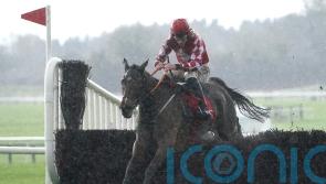 Mighty Potter delivers impressive Drinmore success