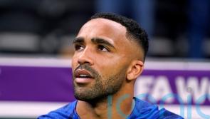Callum Wilson absent from England training due to minor muscle strain