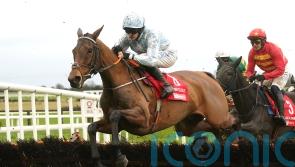Irish Champion Hurdle date remains on Honeysuckle agenda