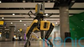 Heathrow Airport employs Dave the robot dog