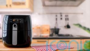 7 easy dishes you didn’t know you could make in an air fryer