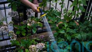 Hosepipe ban lifted in Yorkshire despite county remaining in drought