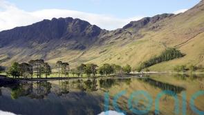 Restoring nature is ‘investment’ in UK economy and society, leaders told