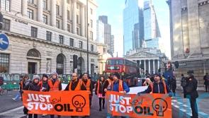 Just Stop Oil stage further marches slowing London traffic