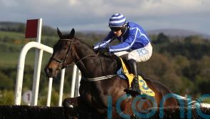 Energumene on course for Cork comeback