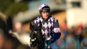 Credrojava shines on Fontwell hurdles bow